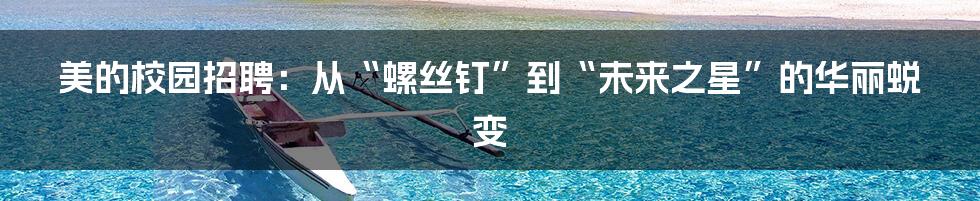 美的校园招聘:从“螺丝钉”到“未来之星”的华丽蜕变