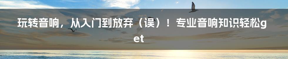 玩转音响，从入门到放弃（误）！专业音响知识轻松get