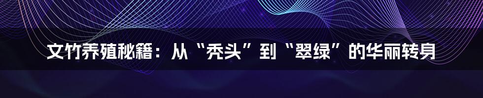 文竹养殖秘籍:从“秃头”到“翠绿”的华丽转身
