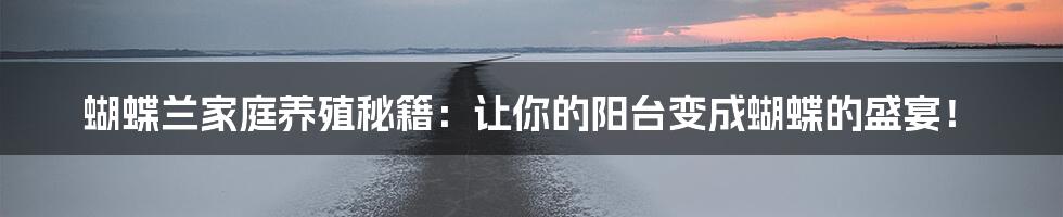 蝴蝶兰家庭养殖秘籍:让你的阳台变成蝴蝶的盛宴!