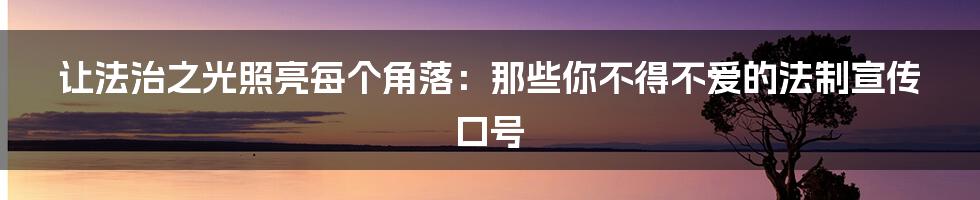 让法治之光照亮每个角落:那些你不得不爱的法制宣传口号