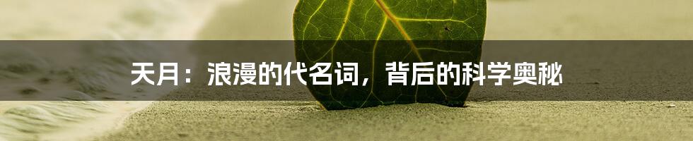 天月:浪漫的代名词,背后的科学奥秘