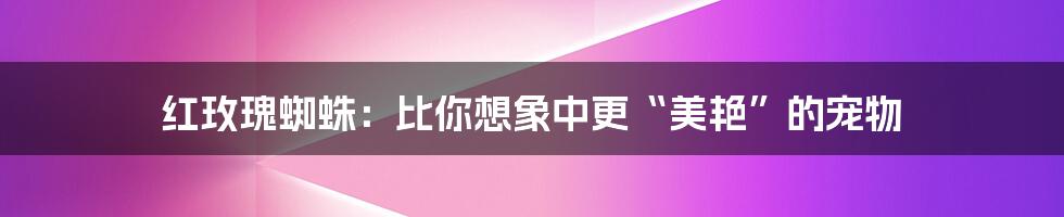 红玫瑰蜘蛛:比你想象中更“美艳”的宠物