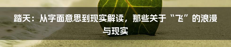 踏天:从字面意思到现实解读,那些关于“飞”的浪漫与现实