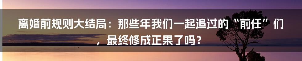 离婚前规则大结局:那些年我们一起追过的“前任”们,最终修成正果了吗?