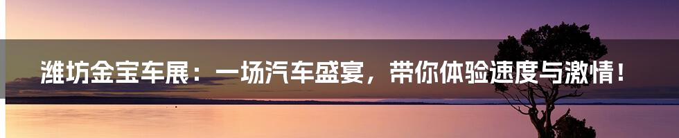 潍坊金宝车展:一场汽车盛宴,带你体验速度与激情!