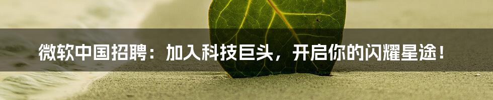 微软中国招聘:加入科技巨头,开启你的闪耀星途!