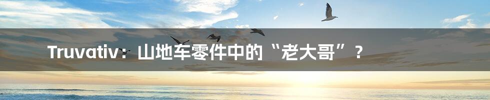 Truvativ:山地车零件中的“老大哥”?
