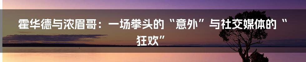 霍华德与浓眉哥:一场拳头的“意外”与社交媒体的“狂欢”