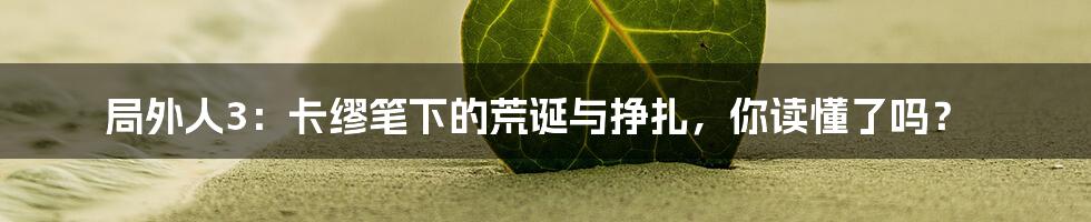 局外人3:卡缪笔下的荒诞与挣扎,你读懂了吗?