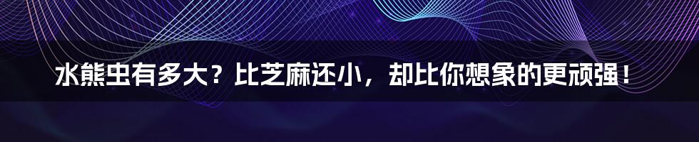 水熊虫有多大?比芝麻还小,却比你想象的更顽强!