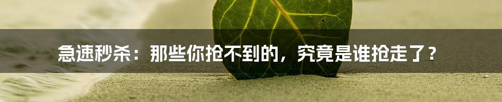 急速秒杀:那些你抢不到的,究竟是谁抢走了?