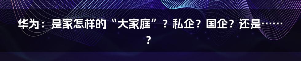 华为:是家怎样的“大家庭”?私企?国企?还是……?
