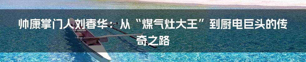 帅康掌门人刘春华：从“煤气灶大王”到厨电巨头的传奇之路