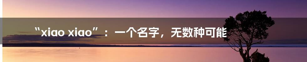 “xiao xiao”:一个名字,无数种可能