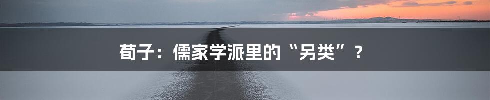 荀子：儒家学派里的“另类”？