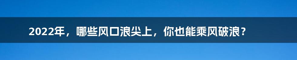 2022年,哪些风口浪尖上,你也能乘风破浪?