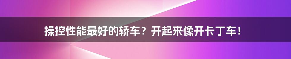 操控性能最好的轿车?开起来像开卡丁车!