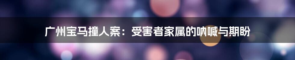 广州宝马撞人案:受害者家属的呐喊与期盼