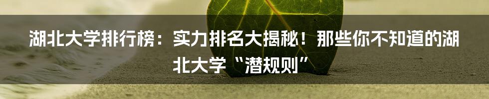 湖北大学排行榜:实力排名大揭秘!那些你不知道的湖北大学“潜规则”