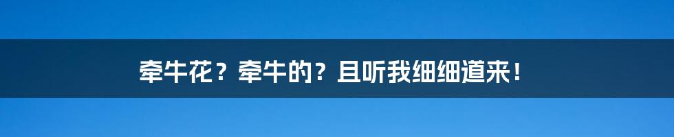 牵牛花?牵牛的?且听我细细道来!