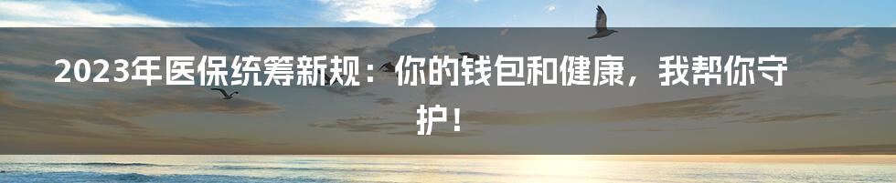 2023年医保统筹新规:你的钱包和健康,我帮你守护!