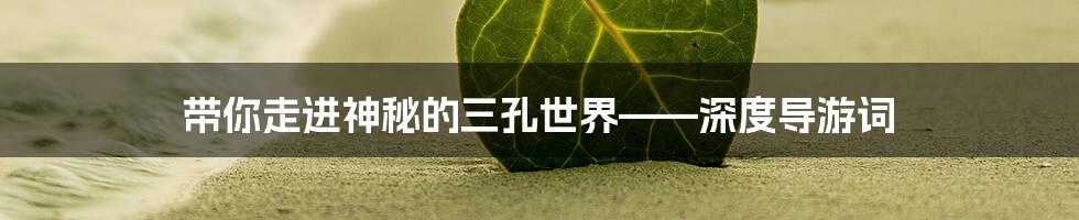 带你走进神秘的三孔世界——深度导游词
