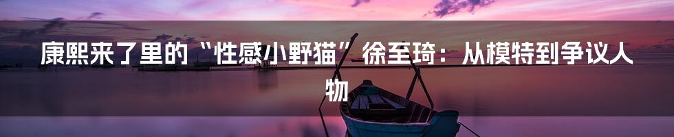 康熙来了里的“性感小野猫”徐至琦:从模特到争议人物