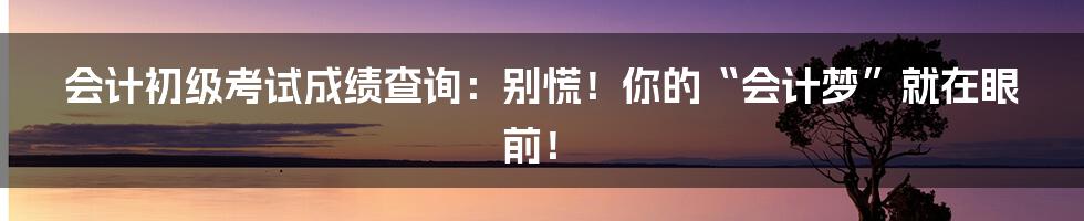 会计初级考试成绩查询:别慌!你的“会计梦”就在眼前!