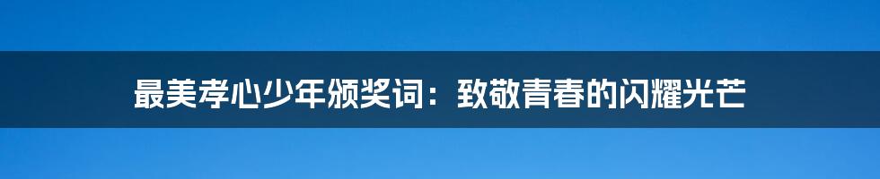 最美孝心少年颁奖词:致敬青春的闪耀光芒