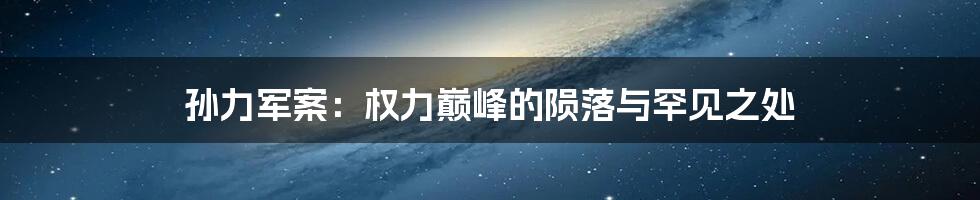孙力军案:权力巅峰的陨落与罕见之处