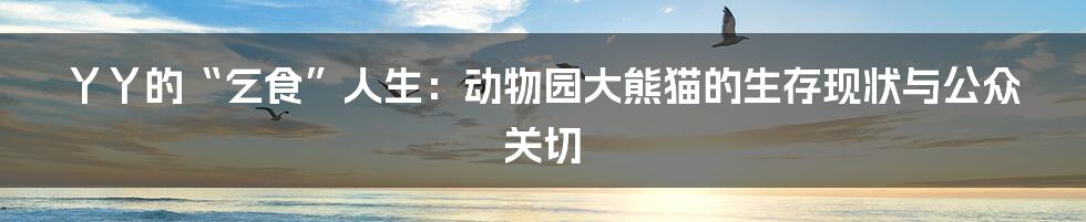 丫丫的“乞食”人生:动物园大熊猫的生存现状与公众关切