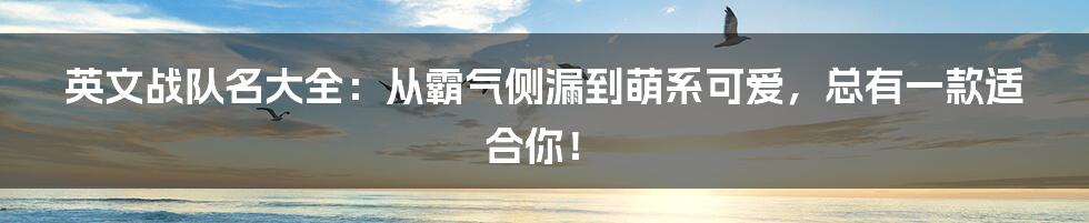 英文战队名大全:从霸气侧漏到萌系可爱,总有一款适合你!