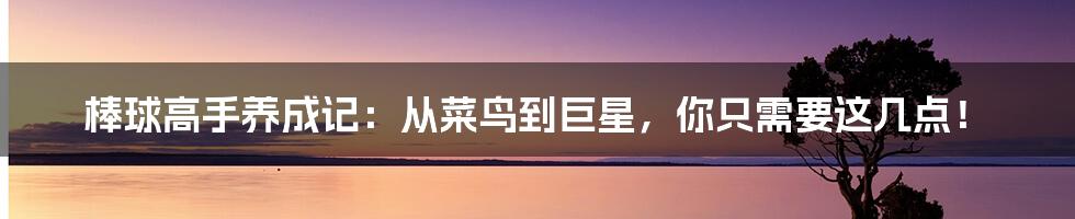 棒球高手养成记：从菜鸟到巨星，你只需要这几点！