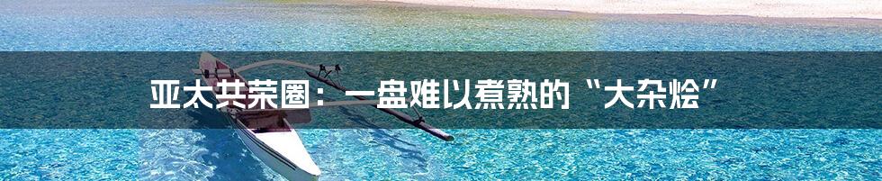 亚太共荣圈:一盘难以煮熟的“大杂烩”