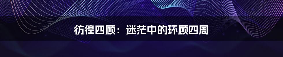 彷徨四顾:迷茫中的环顾四周