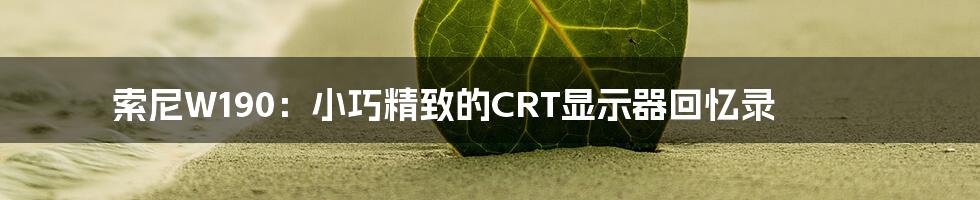 索尼W190:小巧精致的CRT显示器回忆录