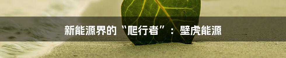 新能源界的“爬行者”：壁虎能源