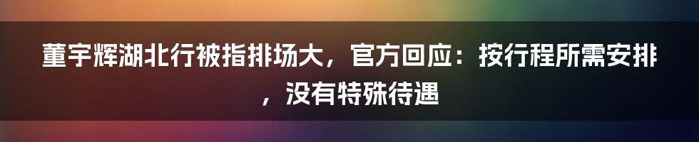 董宇辉湖北行被指排场大，官方回应：按行程所需安排，没有特殊待遇
