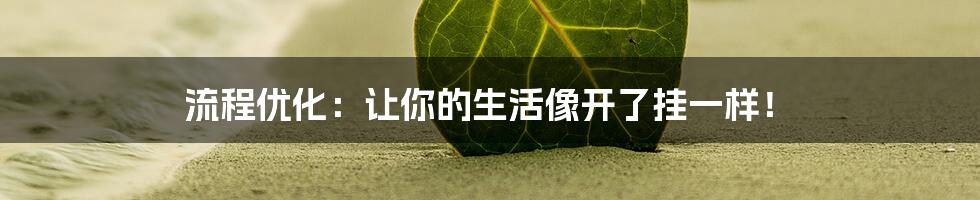 流程优化:让你的生活像开了挂一样!