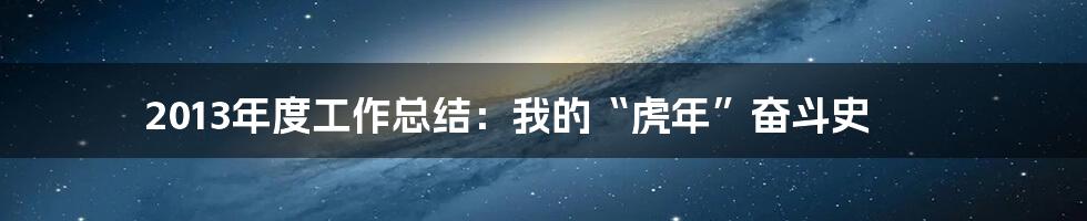 2013年度工作总结：我的“虎年”奋斗史