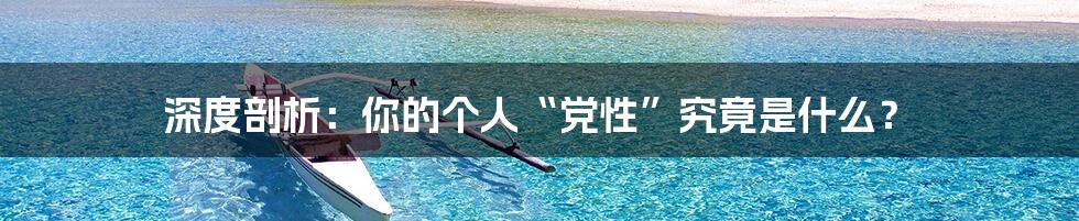 深度剖析:你的个人“党性”究竟是什么?