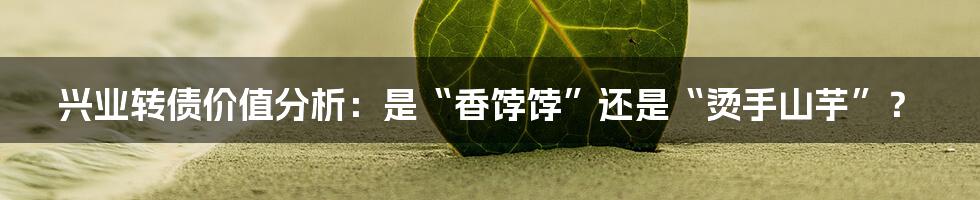兴业转债价值分析:是“香饽饽”还是“烫手山芋”?