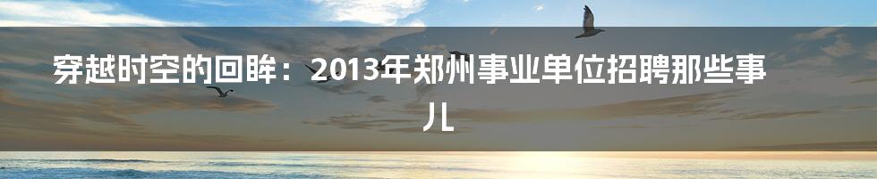 穿越时空的回眸：2013年郑州事业单位招聘那些事儿