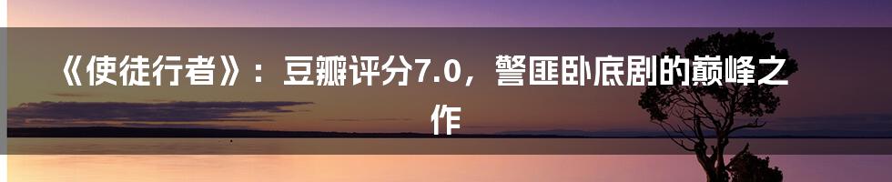 《使徒行者》:豆瓣评分7.0,警匪卧底剧的巅峰之作