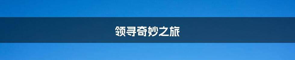领寻奇妙之旅