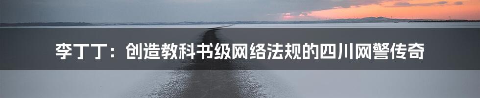 李丁丁：创造教科书级网络法规的四川网警传奇