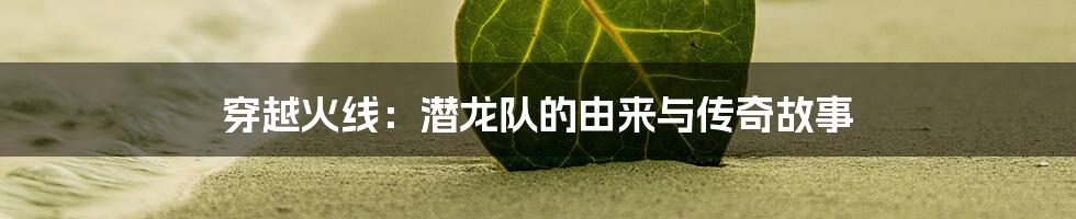 穿越火线:潜龙队的由来与传奇故事
