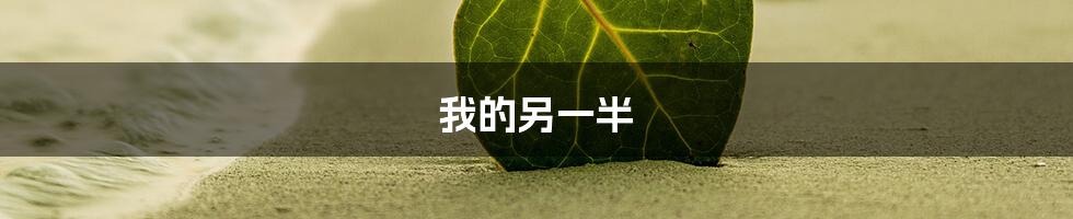 我的另一半