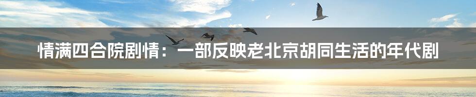 情满四合院剧情:一部反映老北京胡同生活的年代剧